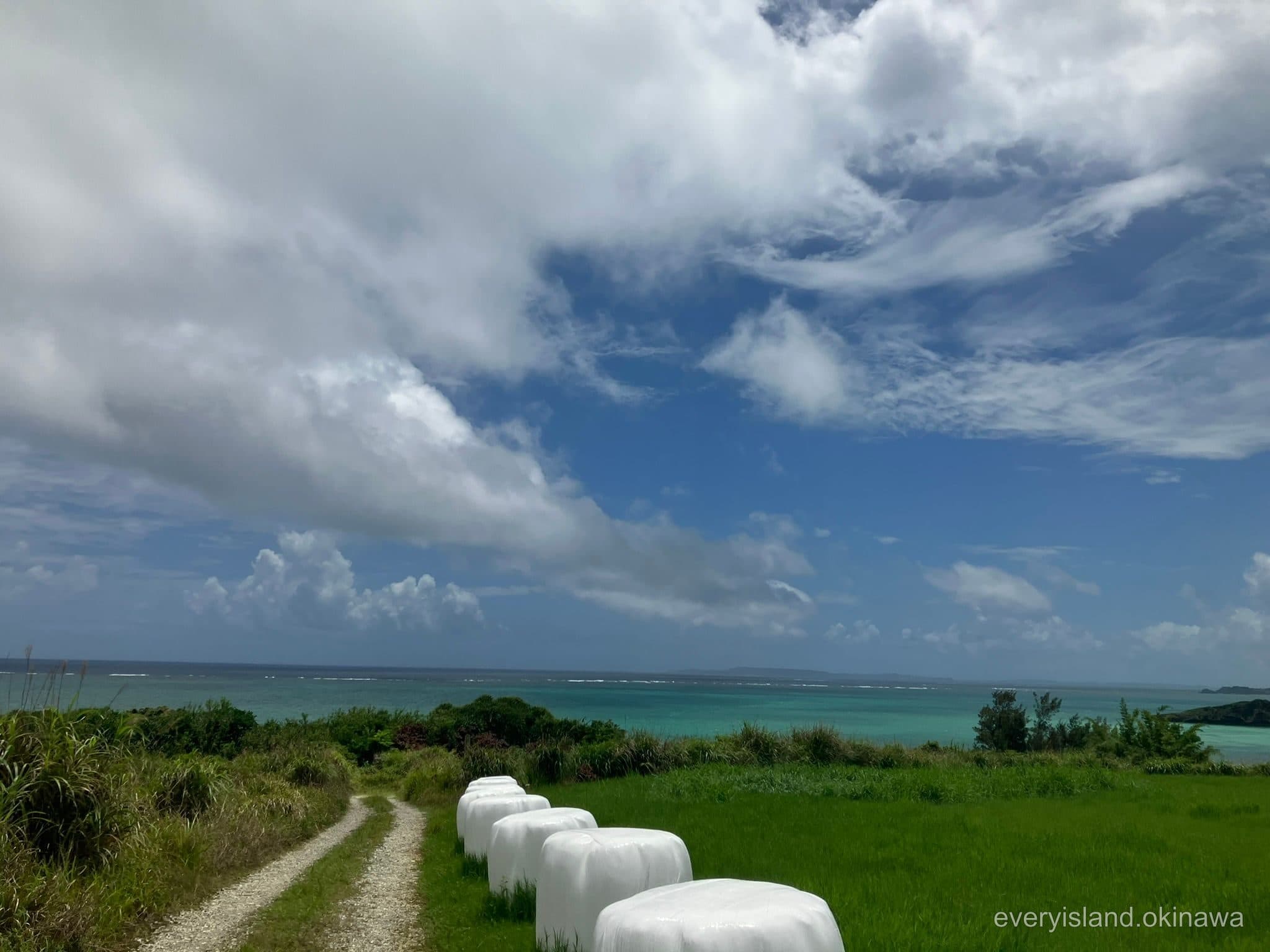 White-wrapped bales of cut grass on a seaside pasture in Ginoza with the ocean behind